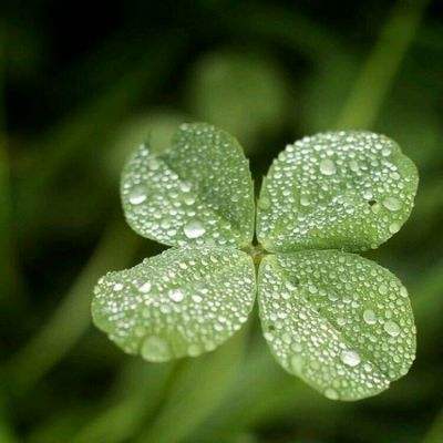 金年会app官方下载截图