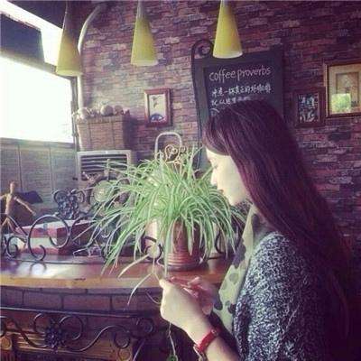 皇冠APP官方版下载安装